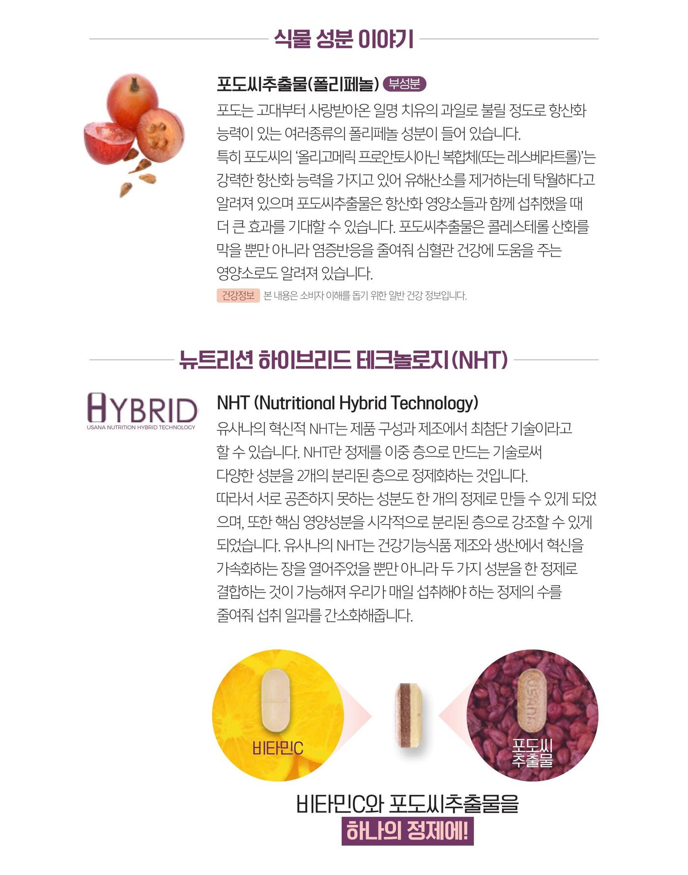 식물 성분 이야기 — 포도씨추출물. 그리고 뉴트리션 하이브리드 테크놀로지로 비타민C와 포도씨추출물을 하나의 정제에 담는 방식.